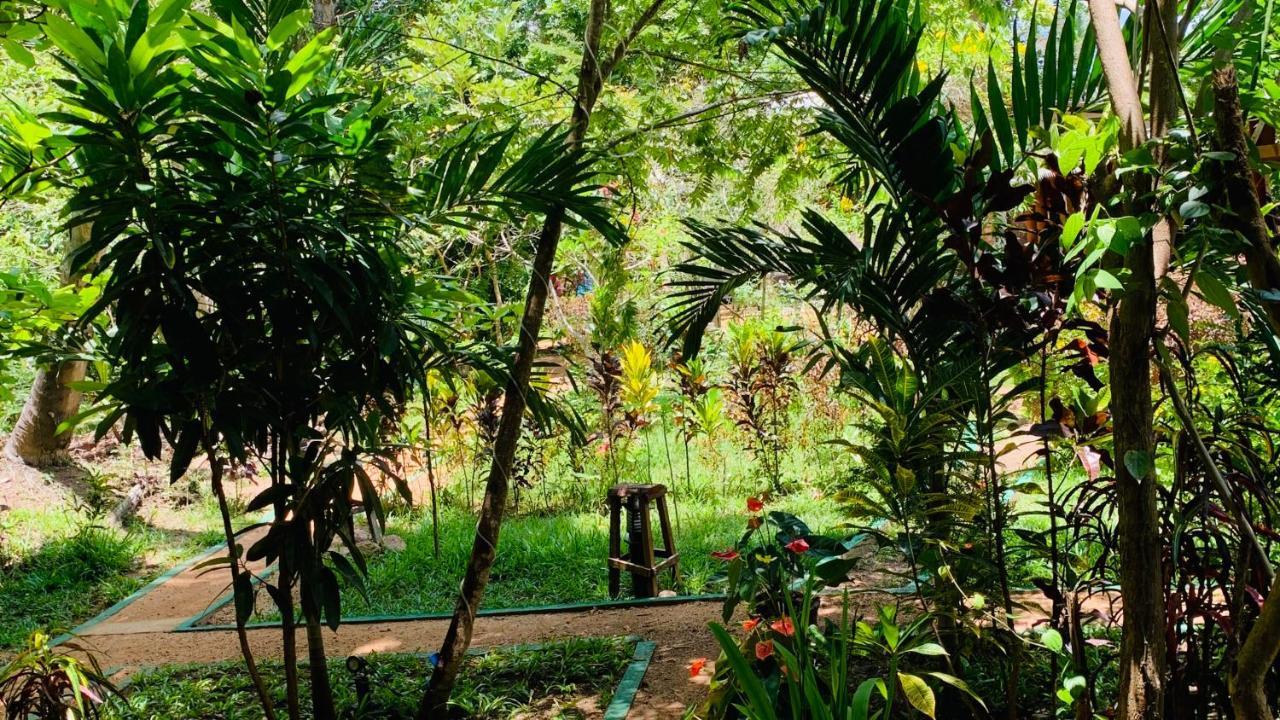 Sigiri Starwing Villa Sigiriya Exterior foto