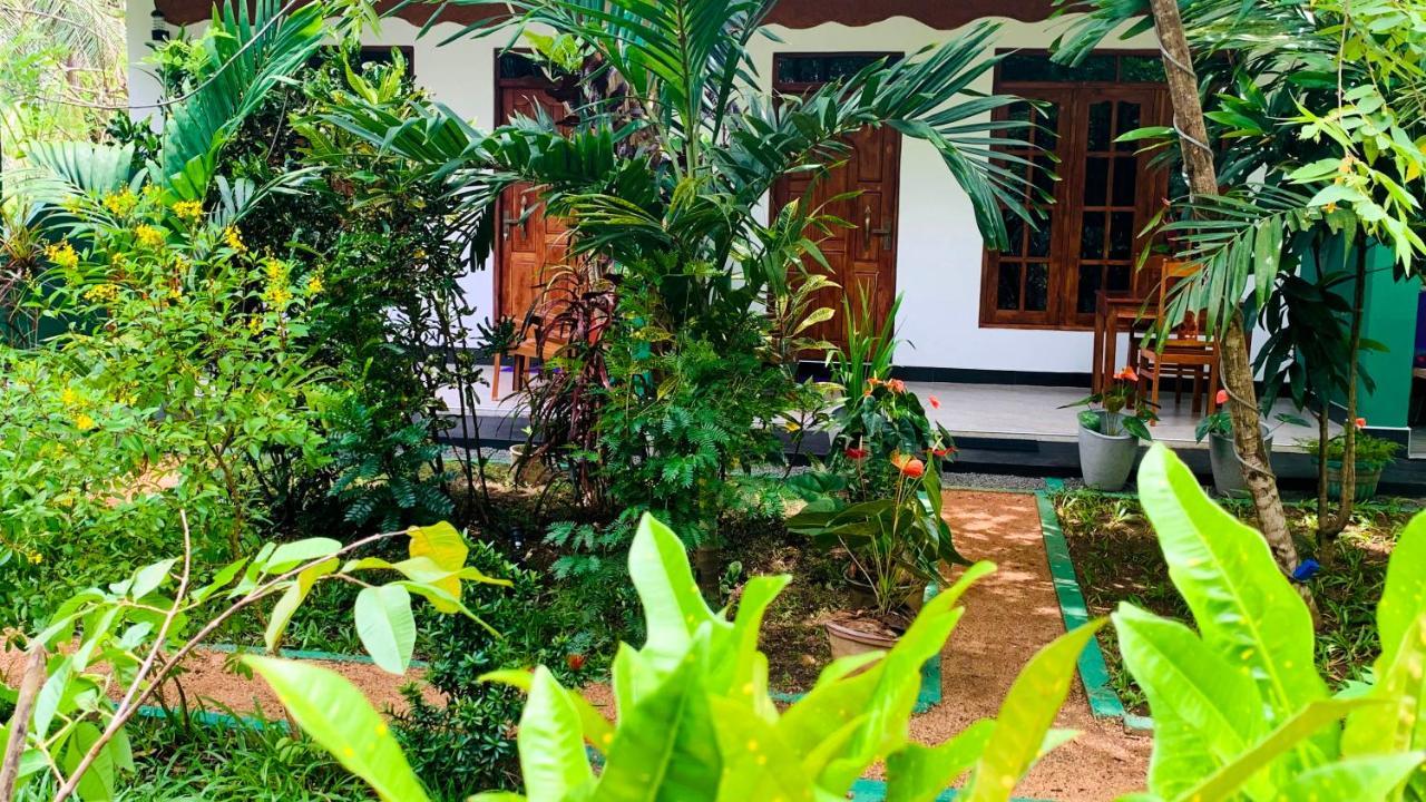 Sigiri Starwing Villa Sigiriya Exterior foto